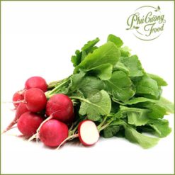 Củ cải đỏ Đà Lạt