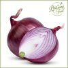 Hành tây tím