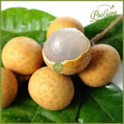 Nhãn lồng Hưng Yên