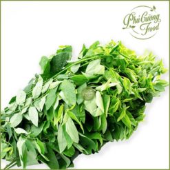 Rau bồ ngót